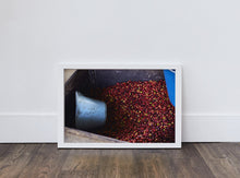 Load image into Gallery viewer, Coffee Cherries for Pulping by Jake Green
